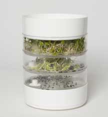 
This stackable seed sprouter is one easy method for sprouting seeds at home.
